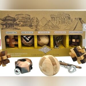 True Genius Wooden Brainteaser Puzzles: Curated Collection